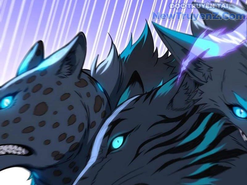 đọc truyện Đệ Nhất Ngự Thú Sư Chương 62 ảnh 78 tại Thiên Thai Truyện