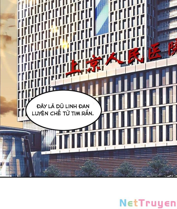 đọc truyện Đệ Nhất Ở Rể Chương 75 ảnh 43 tại Truyện Dạ Ký