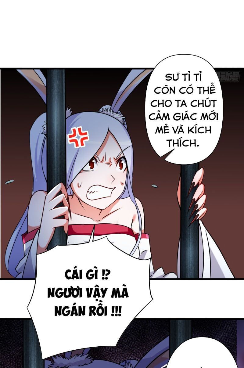 đọc truyện Đệ Tử Của Ta Đều Là Súp Bờ Thần Chương 58 ảnh 7 tại Giả Dược