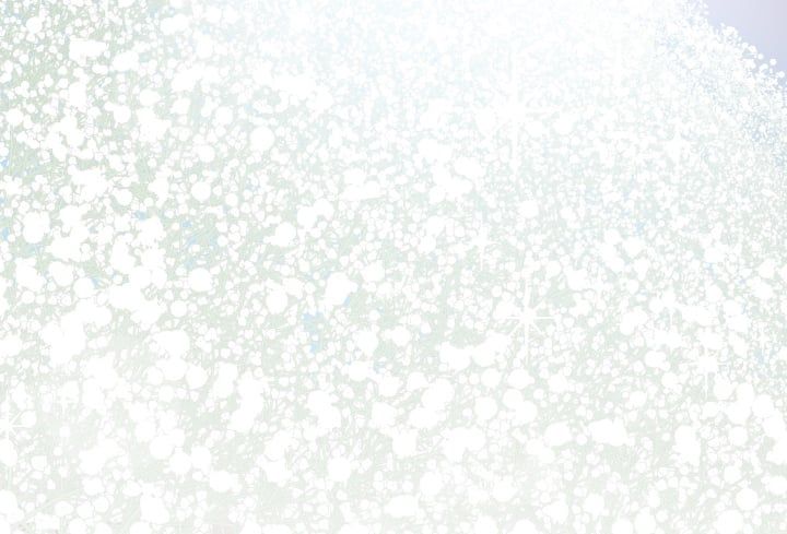 đọc truyện Dear Door Chương 130 ảnh 238 tại Thiên Thai Truyện