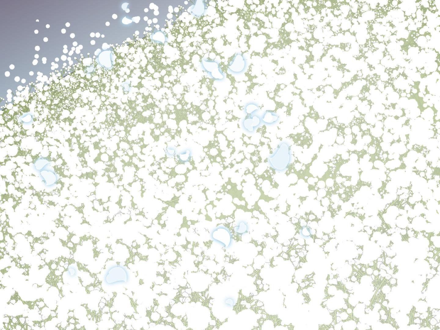 đọc truyện Dear Door Chương 140 ảnh 11 tại Thiên Thai Truyện