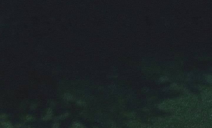 đọc truyện Debut Or Die Chương 96 ảnh 123 tại Thiên Thai Truyện