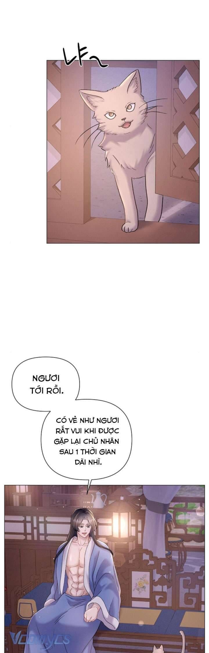 đọc truyện Đêm Của Goá Phụ Chương 10 ảnh 27 tại Thiên Thai Truyện