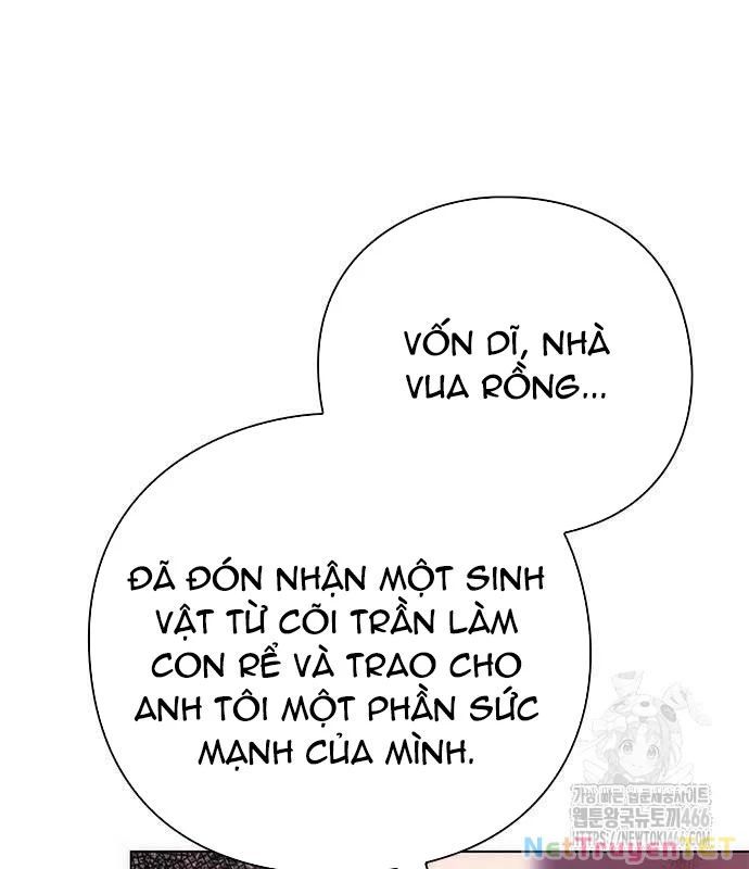 đọc truyện Đêm Của Yêu Tinh Chương 81 ảnh 223 tại Thiên Thai Truyện