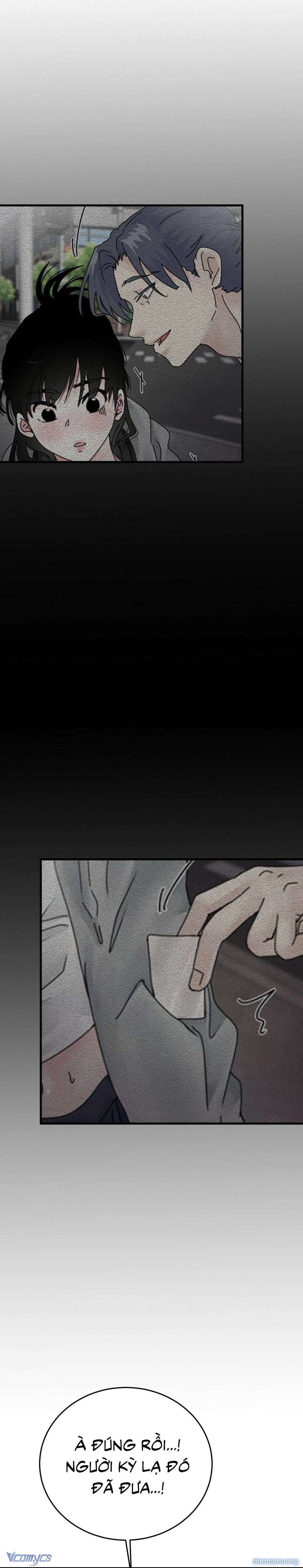 đọc truyện Đêm Mùa Hạ Chương 66 ảnh 8 tại Thiên Thai Truyện