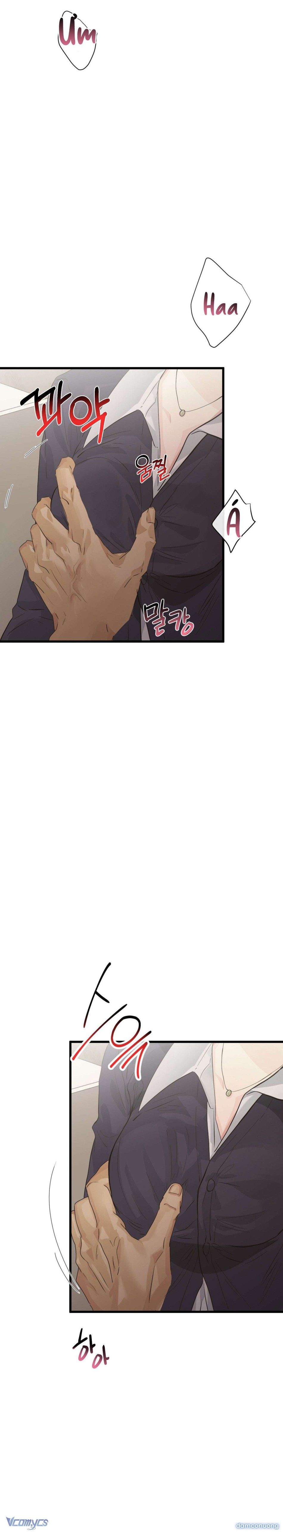 đọc truyện Đêm Mùa Hạ Chương 68 ảnh 26 tại Thiên Thai Truyện