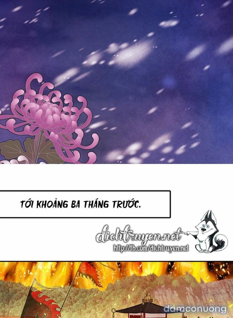 Đêm Thác Loạn (đêm Dục Vọng) Chương 2 page 14 - Giả Dược