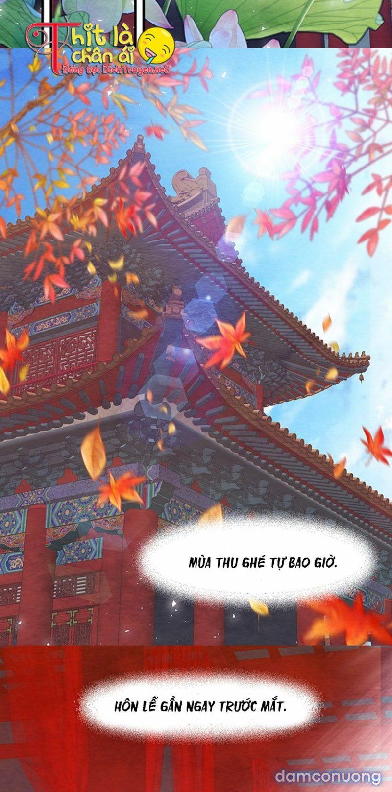 Đêm Thác Loạn (đêm Dục Vọng) Chương 23 page 2 - Giả Dược