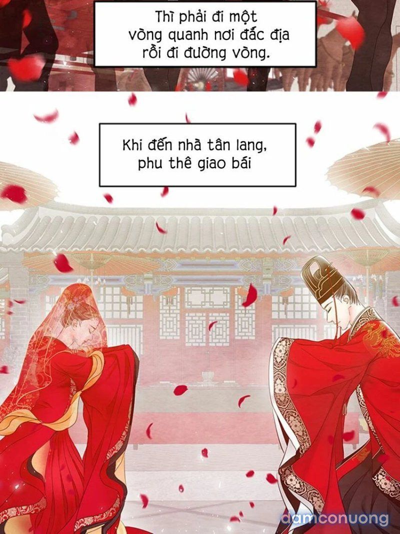 Đêm Thác Loạn (đêm Dục Vọng) Chương 23 page 21 - Giả Dược