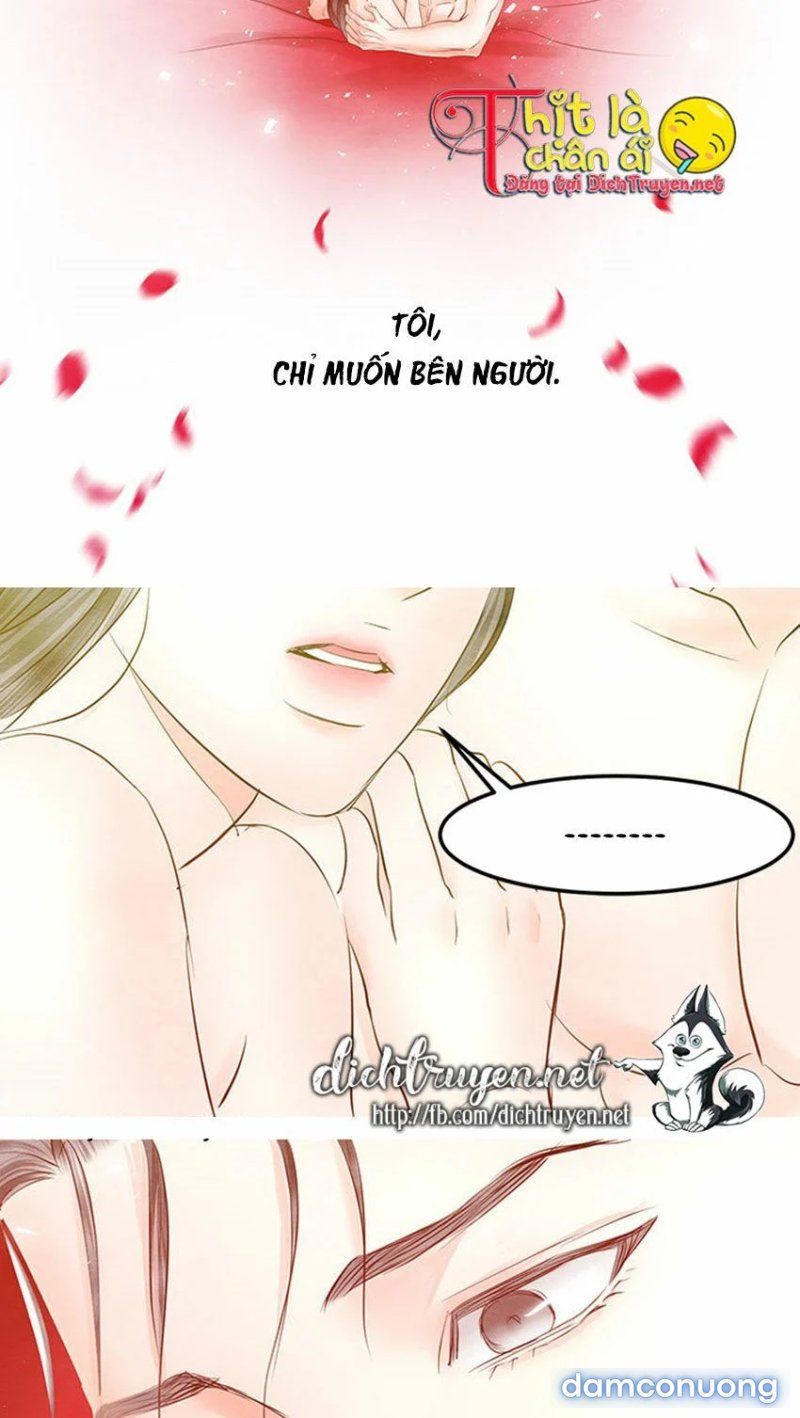 Đêm Thác Loạn (đêm Dục Vọng) Chương 24 page 42 - Giả Dược