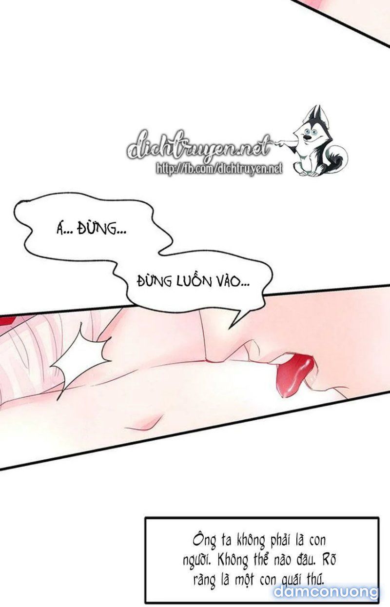 Đêm Thác Loạn (đêm Dục Vọng) Chương 6 page 4 - Giả Dược