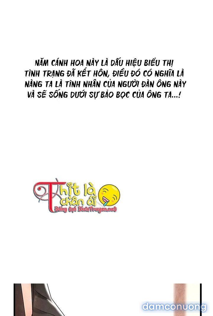 Đêm Thác Loạn (đêm Dục Vọng) Chương 9 page 55 - Giả Dược