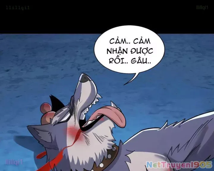 đọc truyện Đến Ma Quỷ Còn Sợ Tâm Thần Chương 156 ảnh 47 tại Thiên Thai Truyện