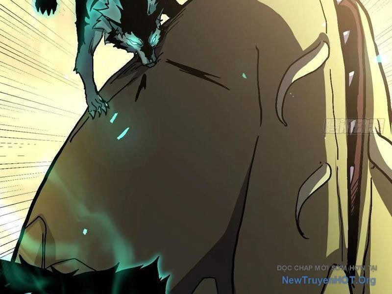 đọc truyện Dị Biến Giáng Lâm Nhân Gian: Triệu Hoán Chi Chủ! Chương 22 ảnh 113 tại Thiên Thai Truyện