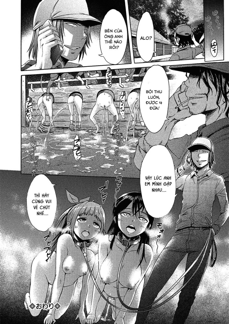 Đi Buổi Ngoại Khóa Bọn Tôi Bị Bắt Làm Slave Chương 0 page 17 - Giả Dược
