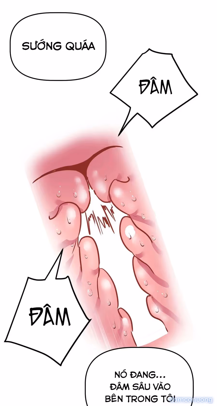 đọc truyện Dị Giới Không Một Bóng Đàn Ông Chương 4 ảnh 54 tại Thiên Thai Truyện