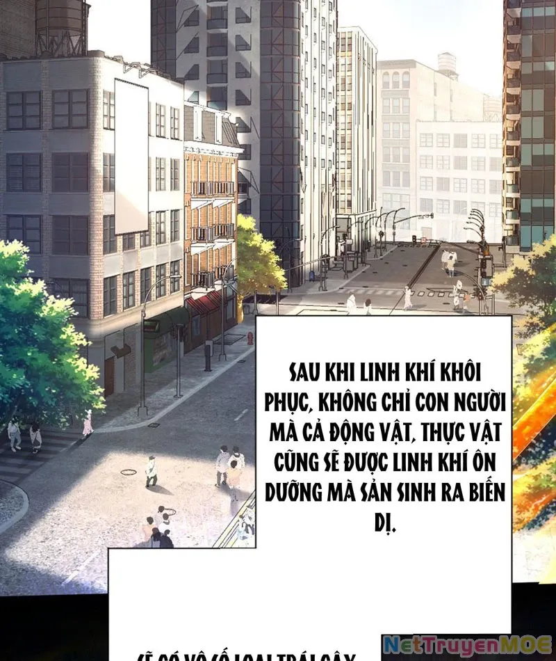 đọc truyện Dị Năng Trùng Sinh Ta Sớm Ở Đỉnh Cao Chương 1 ảnh 43 tại Thiên Thai Truyện