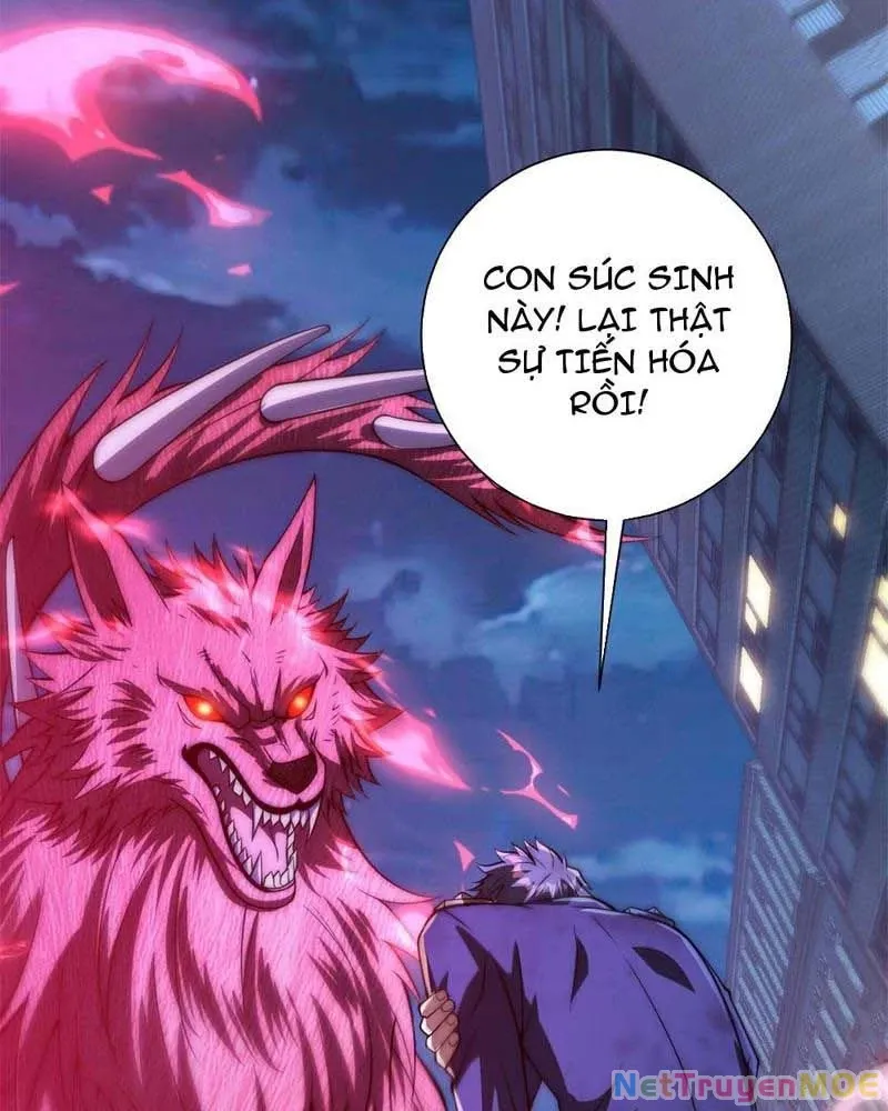 đọc truyện Dị Năng Trùng Sinh Ta Sớm Ở Đỉnh Cao Chương 11 ảnh 5 tại Thiên Thai Truyện