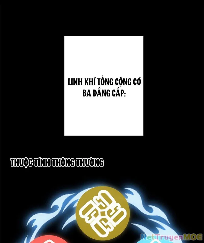 đọc truyện Dị Năng Trùng Sinh Ta Sớm Ở Đỉnh Cao Chương 4 ảnh 61 tại Thiên Thai Truyện