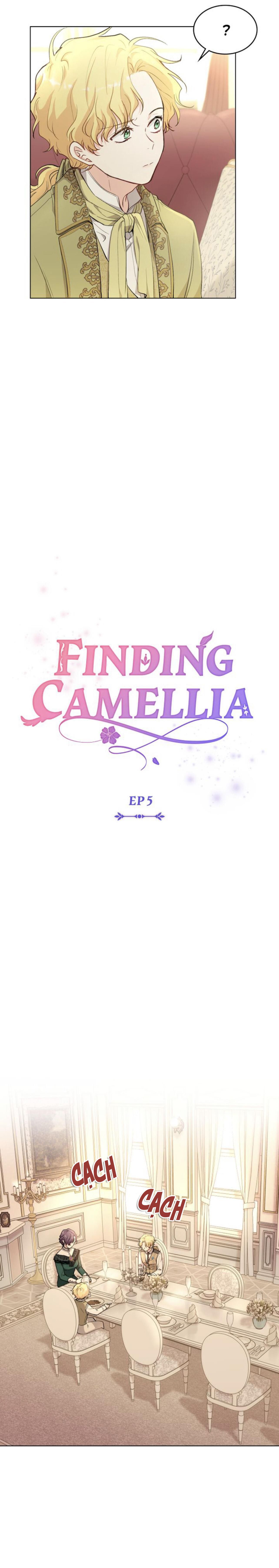 đọc truyện Đi Tìm Nàng Camellia Chương 5 ảnh 7 tại Giả Dược