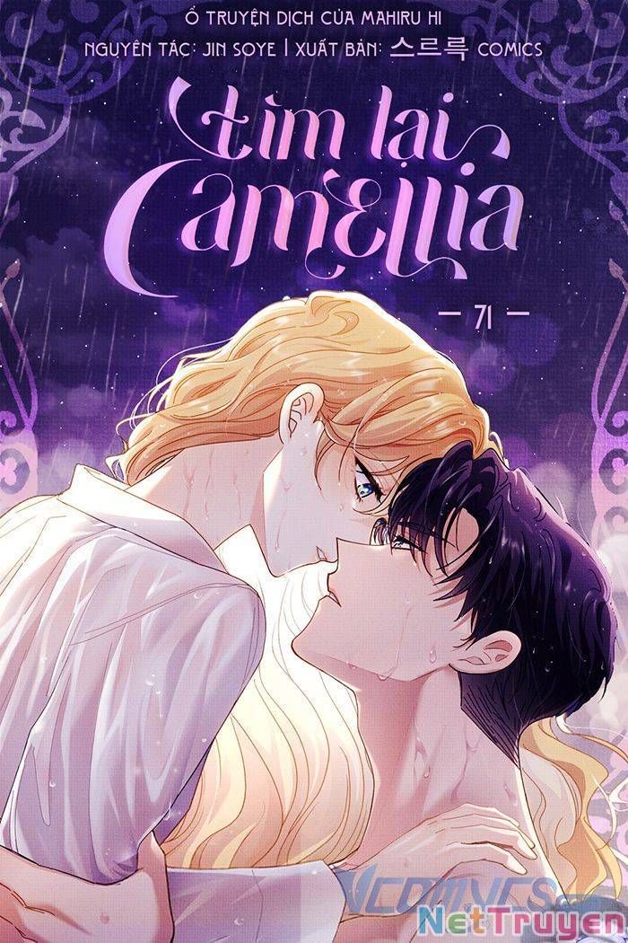 đọc truyện Đi Tìm Nàng Camellia Chương 71 ảnh 1 tại Giả Dược