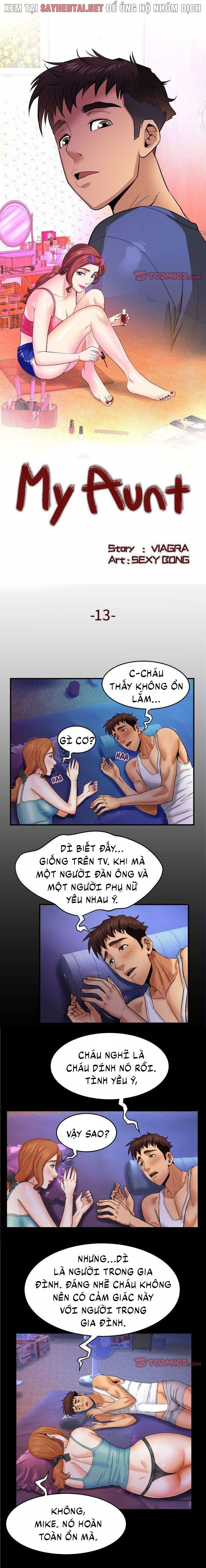 đọc truyện Dì Tôi Chương 13 ảnh 3 tại Giả Dược