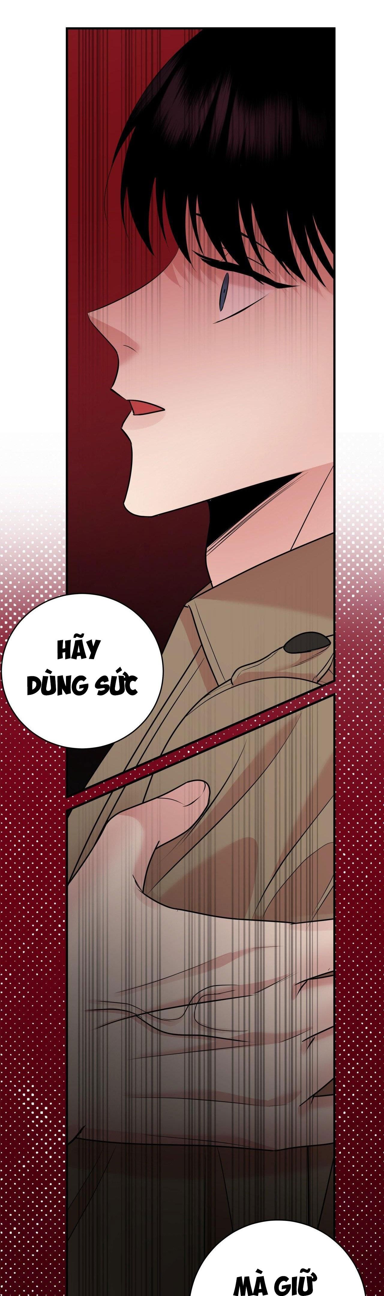 đọc truyện Điều 260 Bộ Luật Hình Sự Chương 2 ảnh 50 tại Truyện Dạ Ký