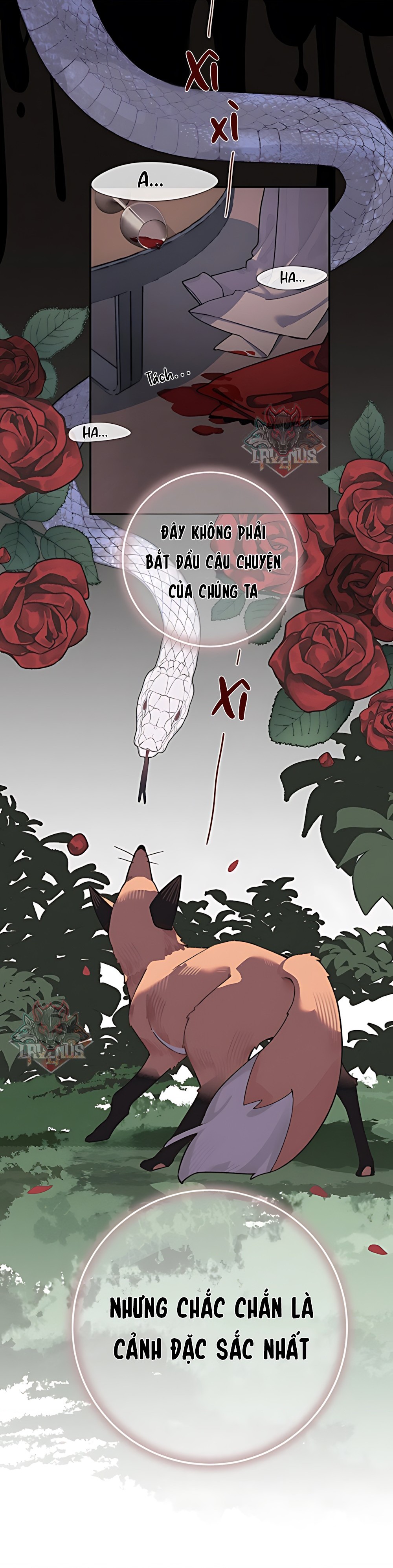 đọc truyện Điệu Nhảy Của Rắn Và Hồ Ly Chương 0.5 ảnh 4 tại Thiên Thai Truyện