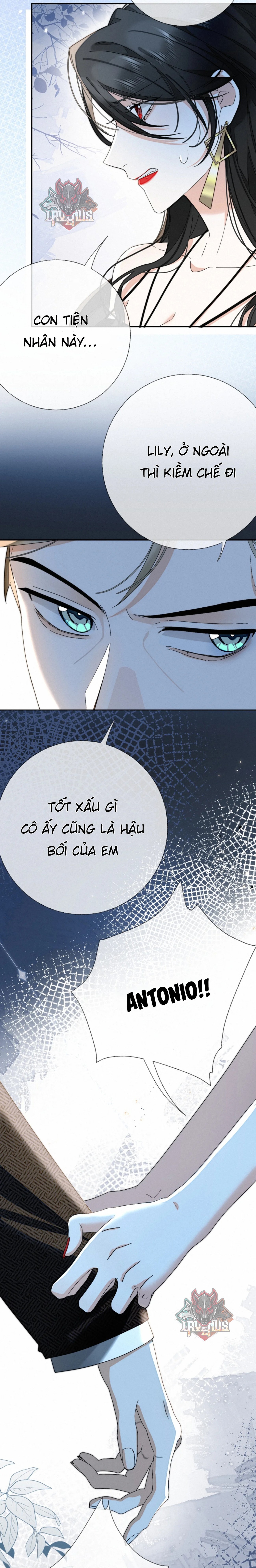 đọc truyện Điệu Nhảy Của Rắn Và Hồ Ly Chương 16 ảnh 8 tại Thiên Thai Truyện