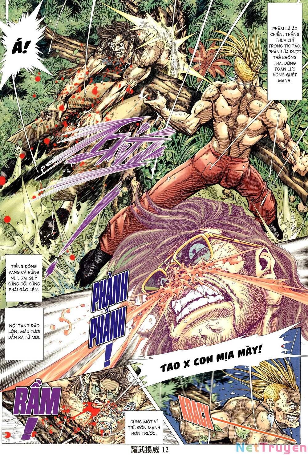 đọc truyện Diệu Võ Dương Oai Chương 323 ảnh 13 tại Thiên Thai Truyện