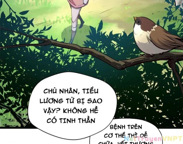 đọc truyện Đỉnh Cấp Khí Vận, Lặng Lẽ Tu Luyện Ngàn Năm Chương 255 ảnh 38 tại Thiên Thai Truyện