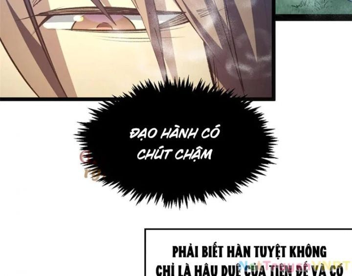 đọc truyện Đỉnh Cấp Khí Vận, Lặng Lẽ Tu Luyện Ngàn Năm Chương 255 ảnh 5 tại Thiên Thai Truyện