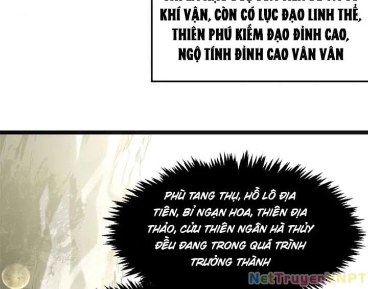 đọc truyện Đỉnh Cấp Khí Vận, Lặng Lẽ Tu Luyện Ngàn Năm Chương 255 ảnh 6 tại Thiên Thai Truyện