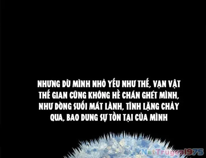 đọc truyện Đỉnh Cấp Khí Vận, Lặng Lẽ Tu Luyện Ngàn Năm Chương 256 ảnh 74 tại Thiên Thai Truyện