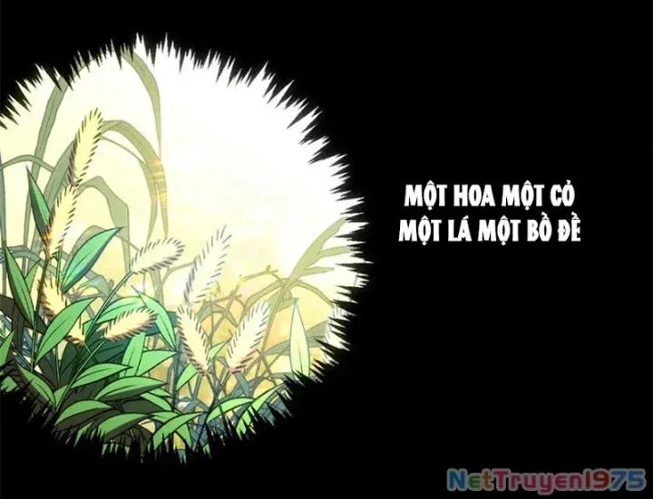 đọc truyện Đỉnh Cấp Khí Vận, Lặng Lẽ Tu Luyện Ngàn Năm Chương 256 ảnh 80 tại Thiên Thai Truyện