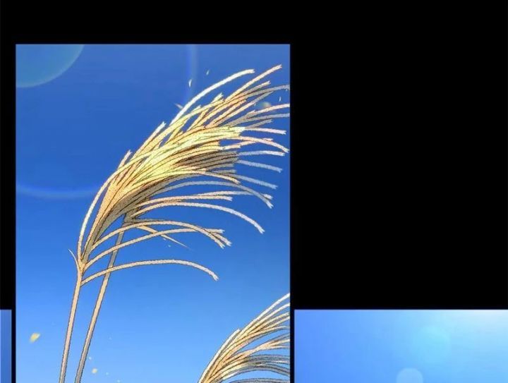 đọc truyện Đỉnh Cấp Khí Vận, Lặng Lẽ Tu Luyện Ngàn Năm Chương 266 ảnh 4 tại Thiên Thai Truyện