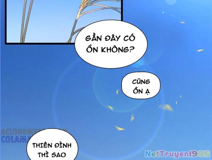 đọc truyện Đỉnh Cấp Khí Vận, Lặng Lẽ Tu Luyện Ngàn Năm Chương 266 ảnh 5 tại Thiên Thai Truyện