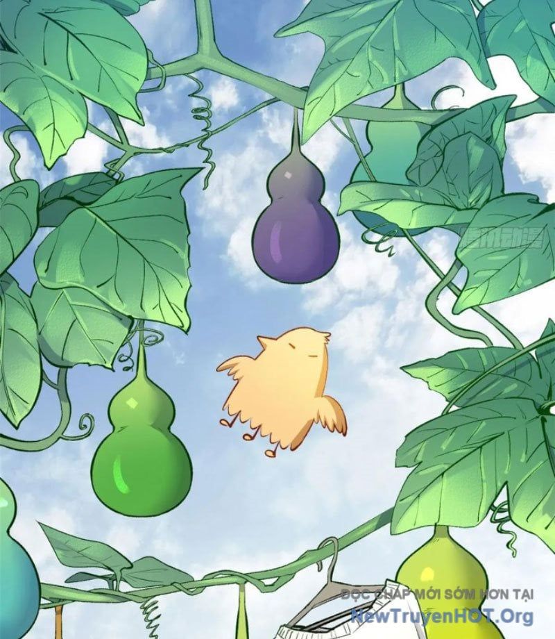 đọc truyện Đỉnh Cấp Khí Vận, Lặng Lẽ Tu Luyện Ngàn Năm Chương 272 ảnh 24 tại Thiên Thai Truyện