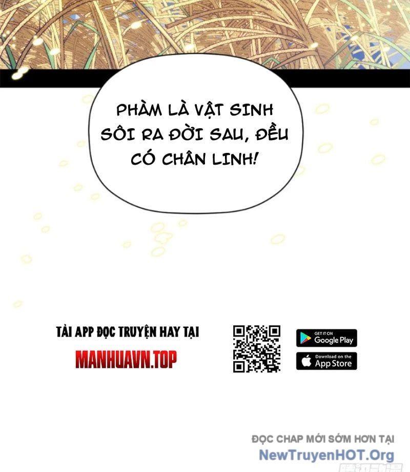 đọc truyện Đỉnh Cấp Khí Vận, Lặng Lẽ Tu Luyện Ngàn Năm Chương 272 ảnh 53 tại Thiên Thai Truyện