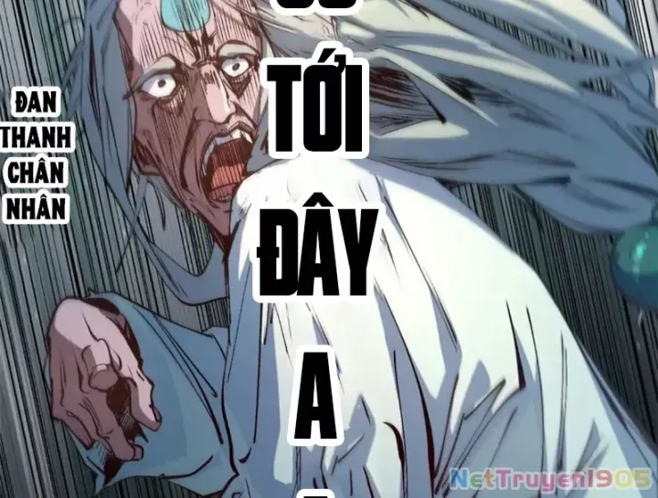 đọc truyện Đỉnh Cấp Khí Vận, Lặng Lẽ Tu Luyện Ngàn Năm Chương 278 ảnh 5 tại Thiên Thai Truyện