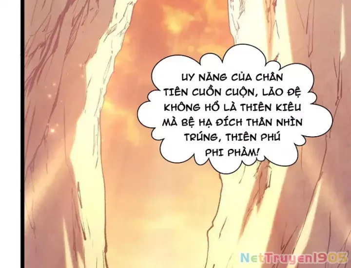 đọc truyện Đỉnh Cấp Khí Vận, Lặng Lẽ Tu Luyện Ngàn Năm Chương 278 ảnh 68 tại Thiên Thai Truyện