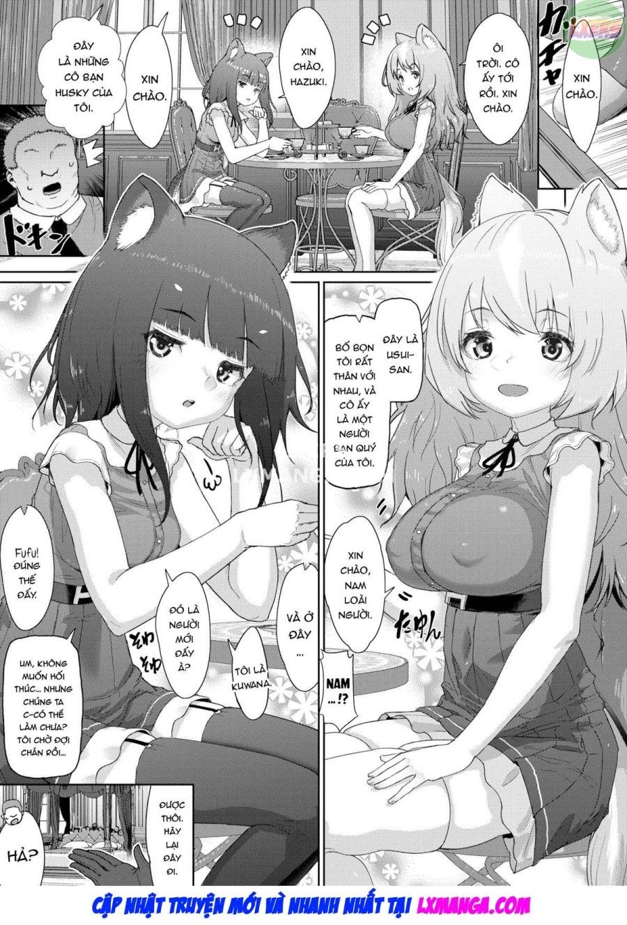 Đồ Chơi Tình Dục Của Các Cô Gái Tai Thú Oneshot page 18 - Giả Dược