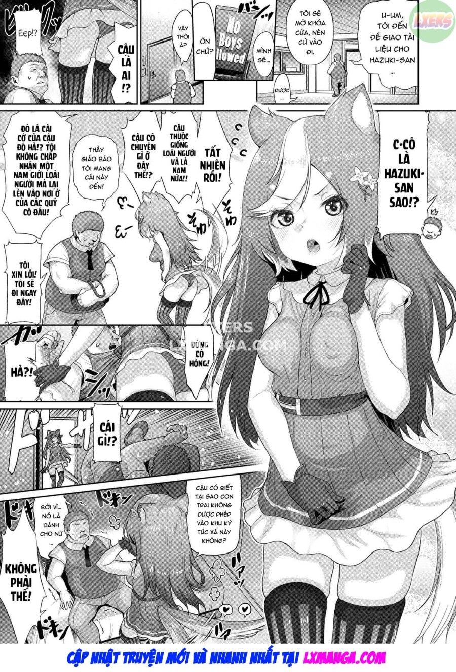 Đồ Chơi Tình Dục Của Các Cô Gái Tai Thú Oneshot page 6 - Giả Dược