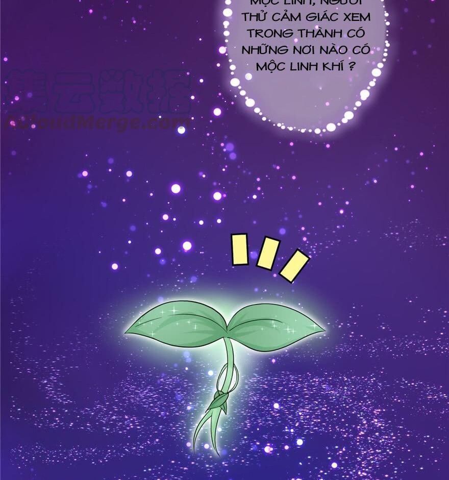 đọc truyện Đồ Đệ Nhà Ta Lại Quải Rồi Chương 106 ảnh 17 tại Thiên Thai Truyện