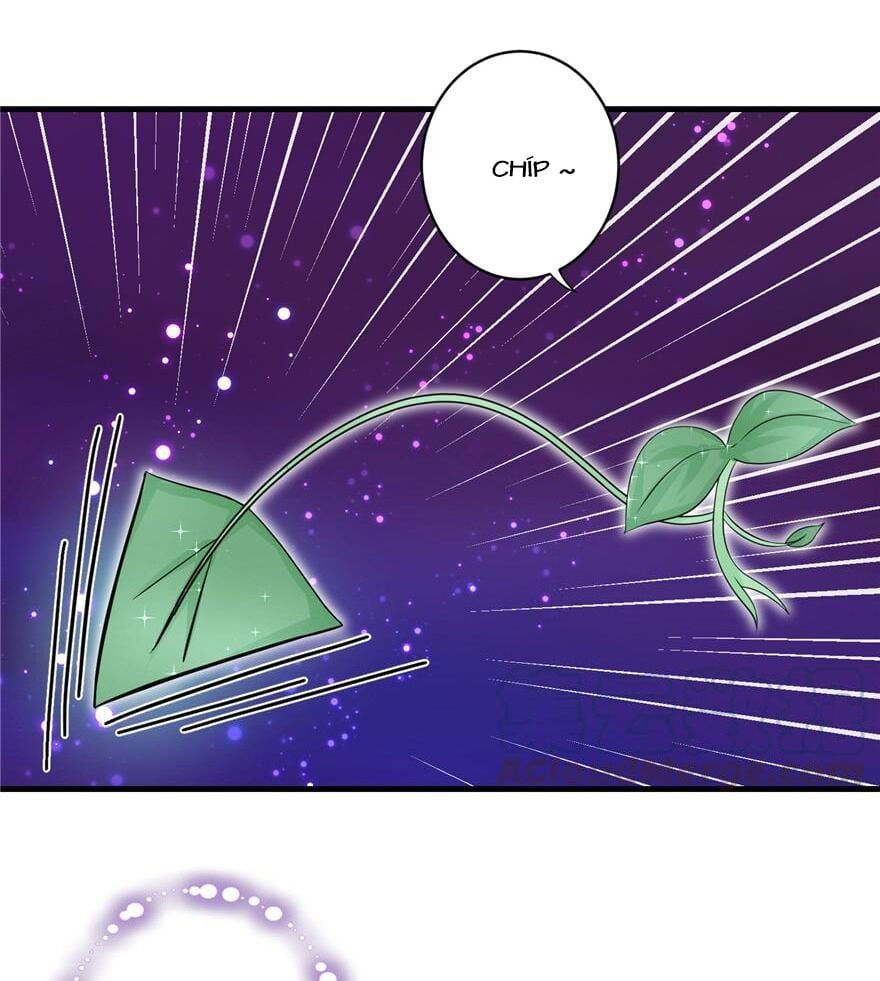 đọc truyện Đồ Đệ Nhà Ta Lại Quải Rồi Chương 107 ảnh 4 tại Thiên Thai Truyện