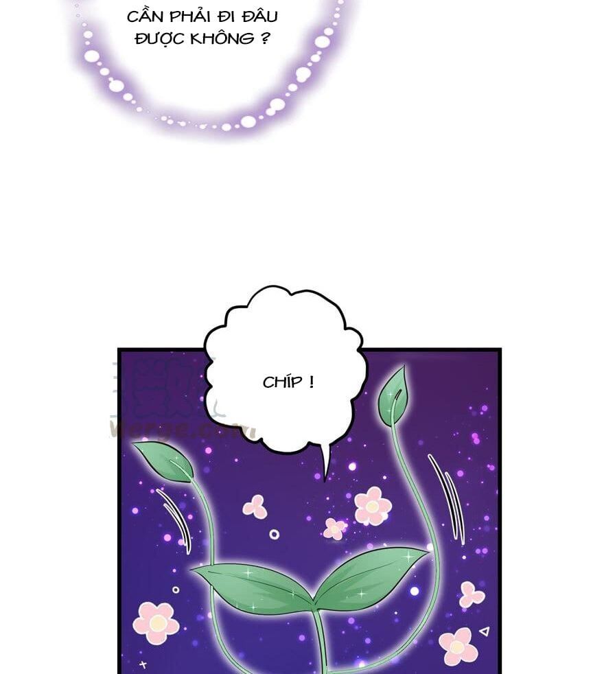 đọc truyện Đồ Đệ Nhà Ta Lại Quải Rồi Chương 107 ảnh 6 tại Thiên Thai Truyện