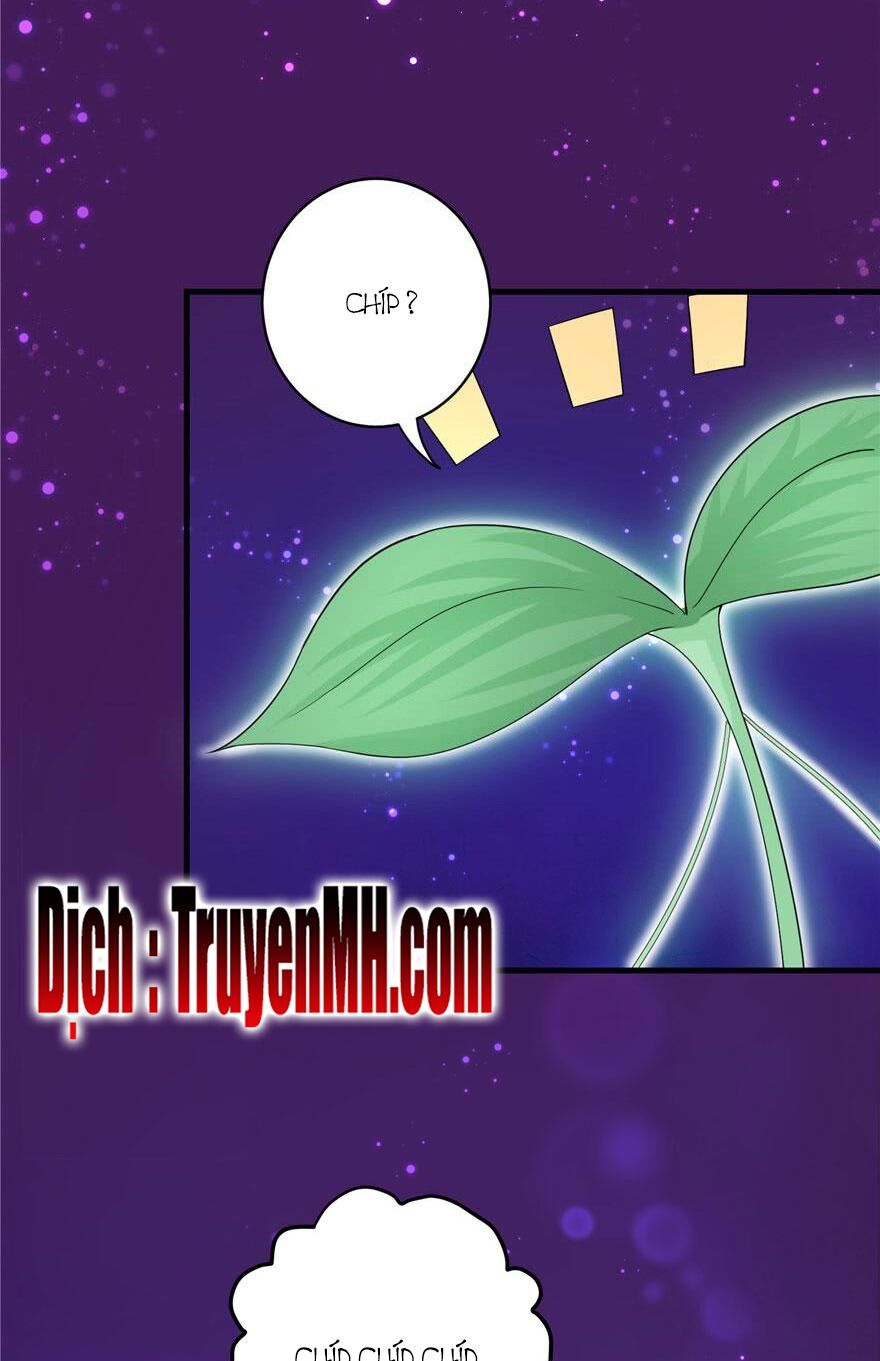 đọc truyện Đồ Đệ Nhà Ta Lại Quải Rồi Chương 123 ảnh 19 tại Thiên Thai Truyện