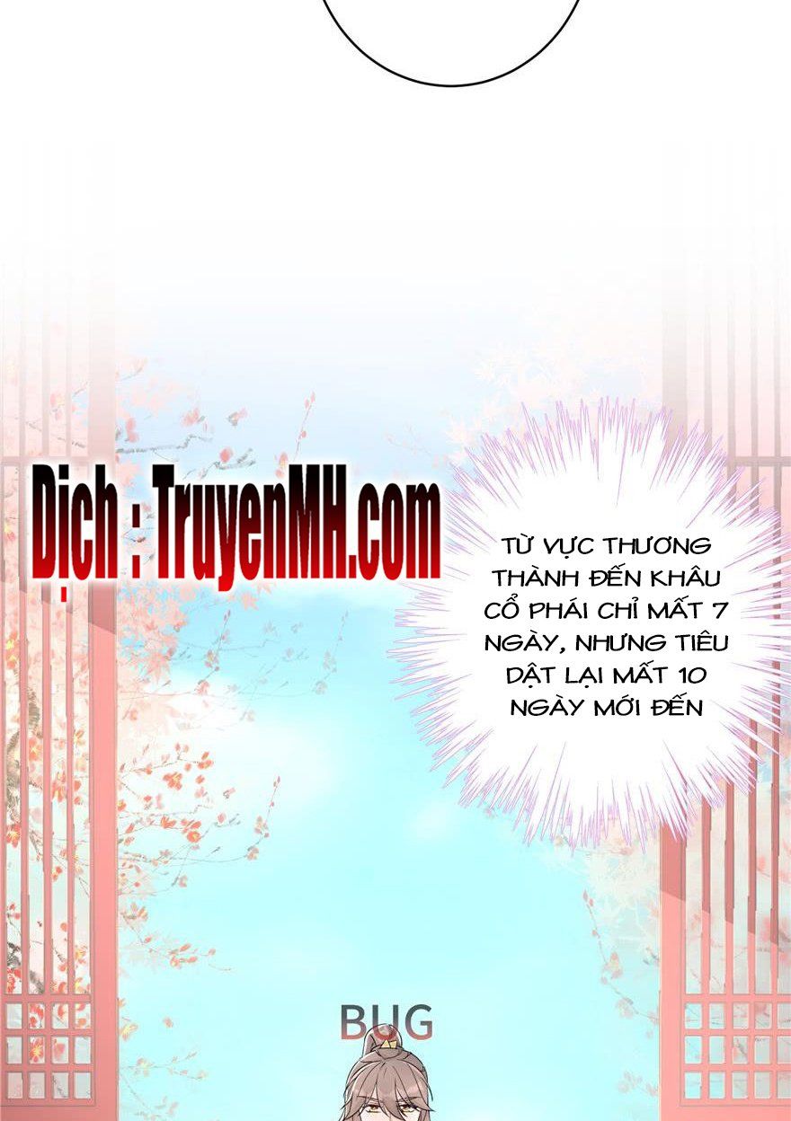 đọc truyện Đồ Đệ Nhà Ta Lại Quải Rồi Chương 131 ảnh 12 tại Thiên Thai Truyện