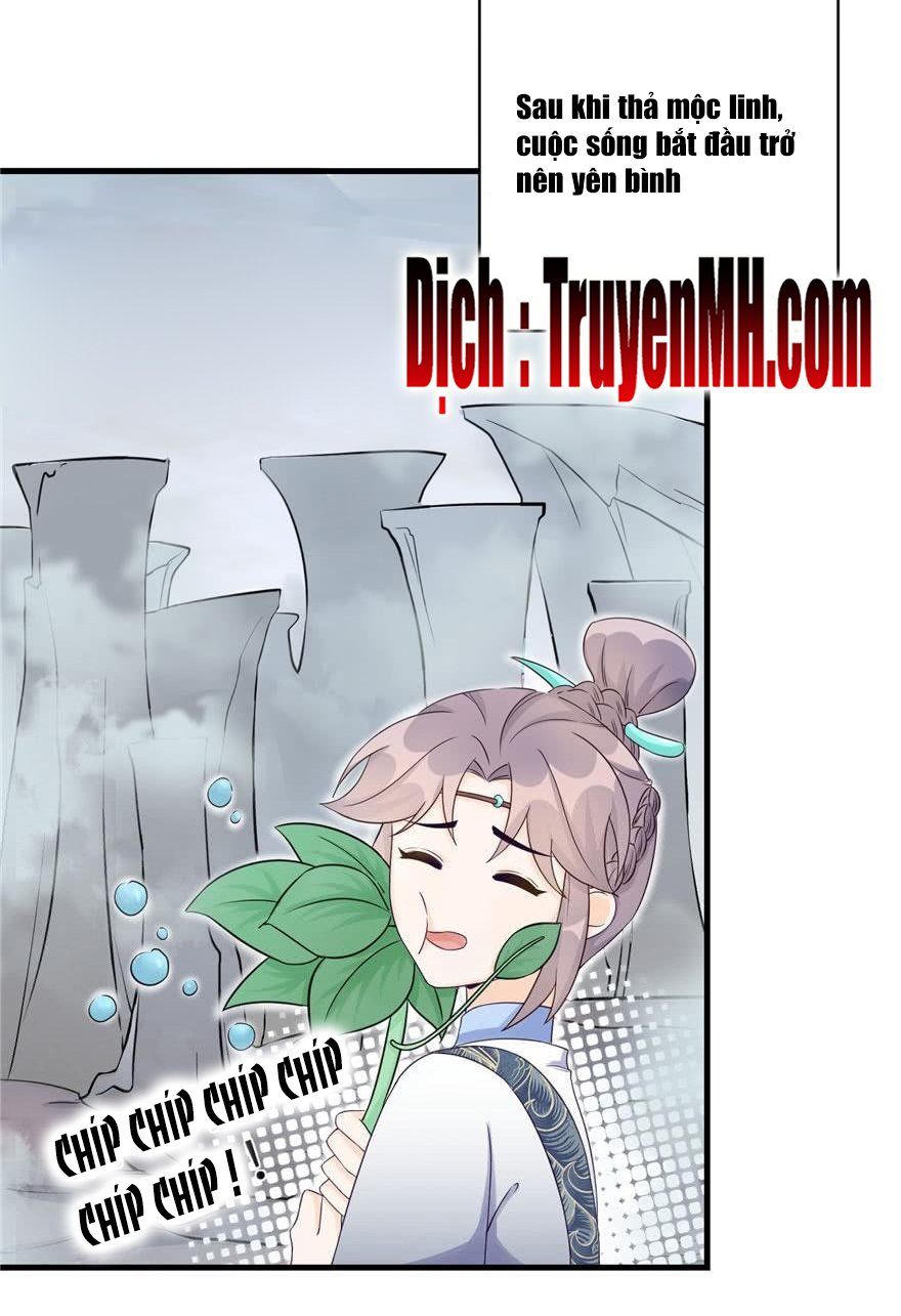 đọc truyện Đồ Đệ Nhà Ta Lại Quải Rồi Chương 139 ảnh 8 tại Thiên Thai Truyện