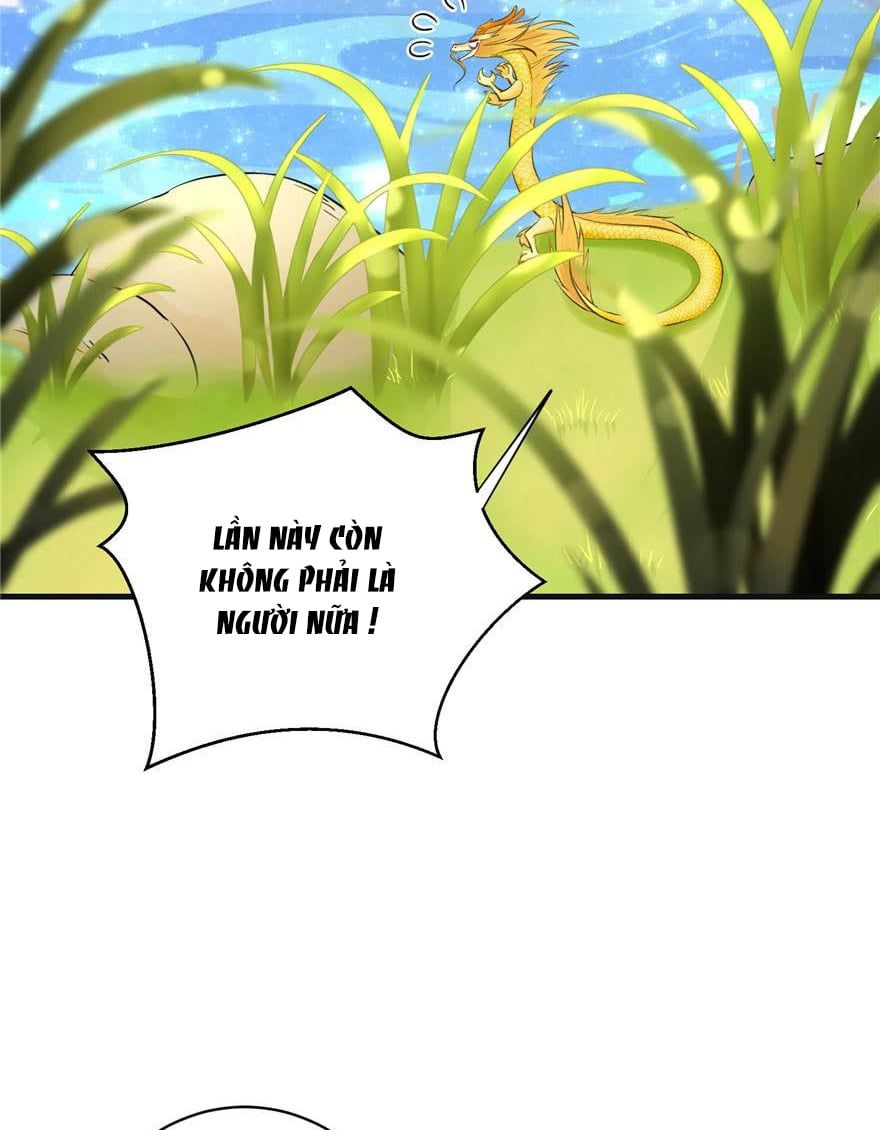 đọc truyện Đồ Đệ Nhà Ta Lại Quải Rồi Chương 154 ảnh 17 tại Thiên Thai Truyện